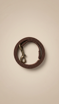Durable nylon pet leash